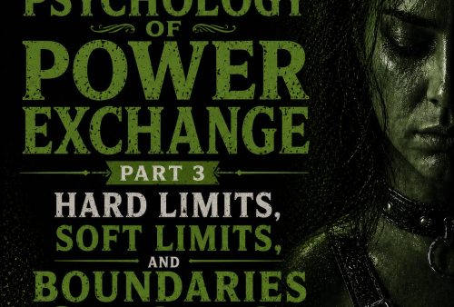 Psychology of Power Exchange Part 3 - Hard Limits, Soft Limits, and Boundaries
