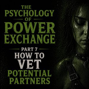 Psychology of Power Exchange Part 7 - How to Vet Potential Partners