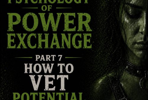 Psychology of Power Exchange Part 7 - How to Vet Potential Partners